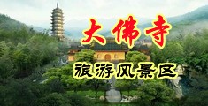 大鸡巴操逼好爽视频中国浙江-新昌大佛寺旅游风景区